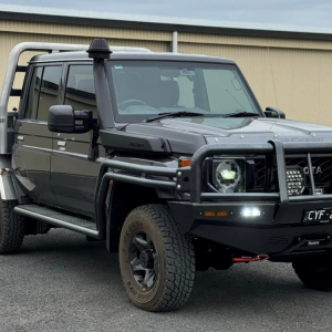 3" bsf bullbar with dual rails