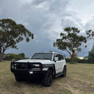 3" bsf bullbar with dual rails and side steps